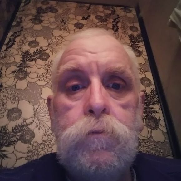 Meet your Posher, Robby - Picture 1 of 1